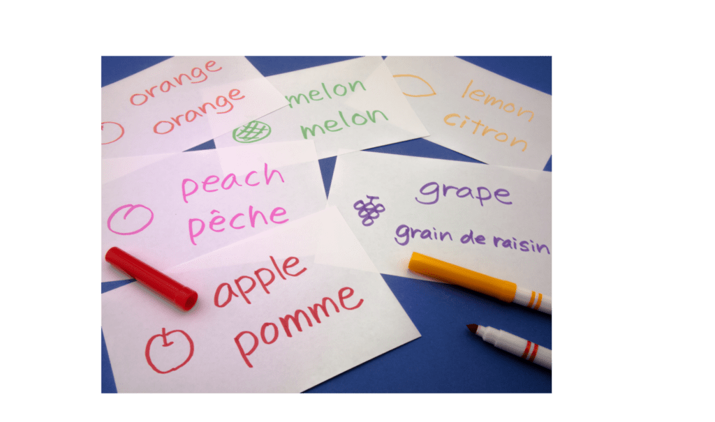 Biglingual fruit indexcards